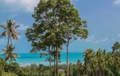 6,051 sqm of Fine Sea View Project Land, Lamai